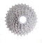 Cassette Sprocket - 08 Speed (11-32T)