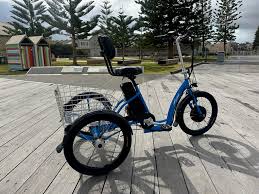 Bike Conversion - Non-Standard (Trikes, Recumbents, etc)