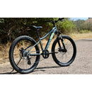 Bayview Trail - Youth Electric Mountain Bike (24")