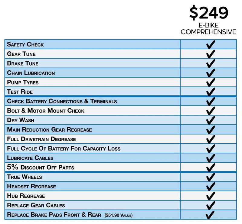 Service - Comprehensive E-bike