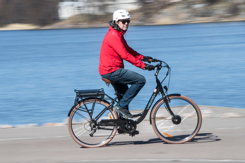 Wheelström - 36V Step-through Electric Bike