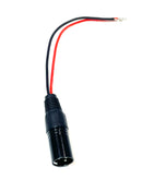 XLR Plug (Male)